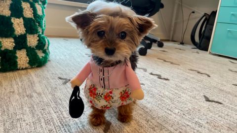 Frisco Front Walking Granny Dog & Cat Costume