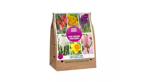 Spring bulbs