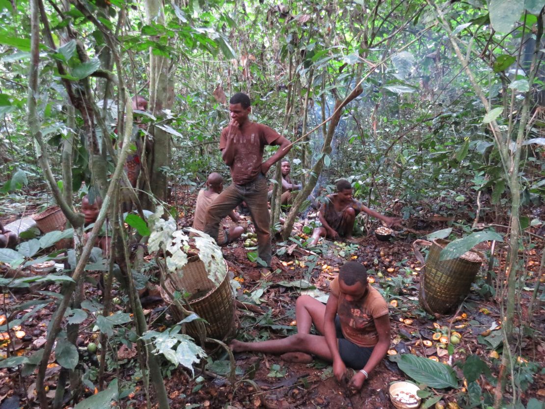 The Baka people, typically hunter-gatherers, forage for mushrooms in the forest. 