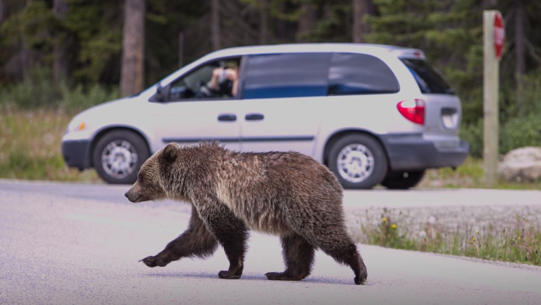 If you're taking your vehicle for an overnight camping trip, don't store food in it. 