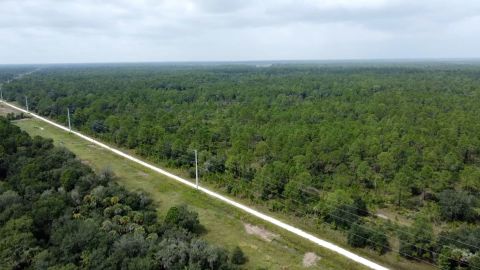 Drone footage of the Carlton Reserve in Venice, Florida, on October 8, 2021.