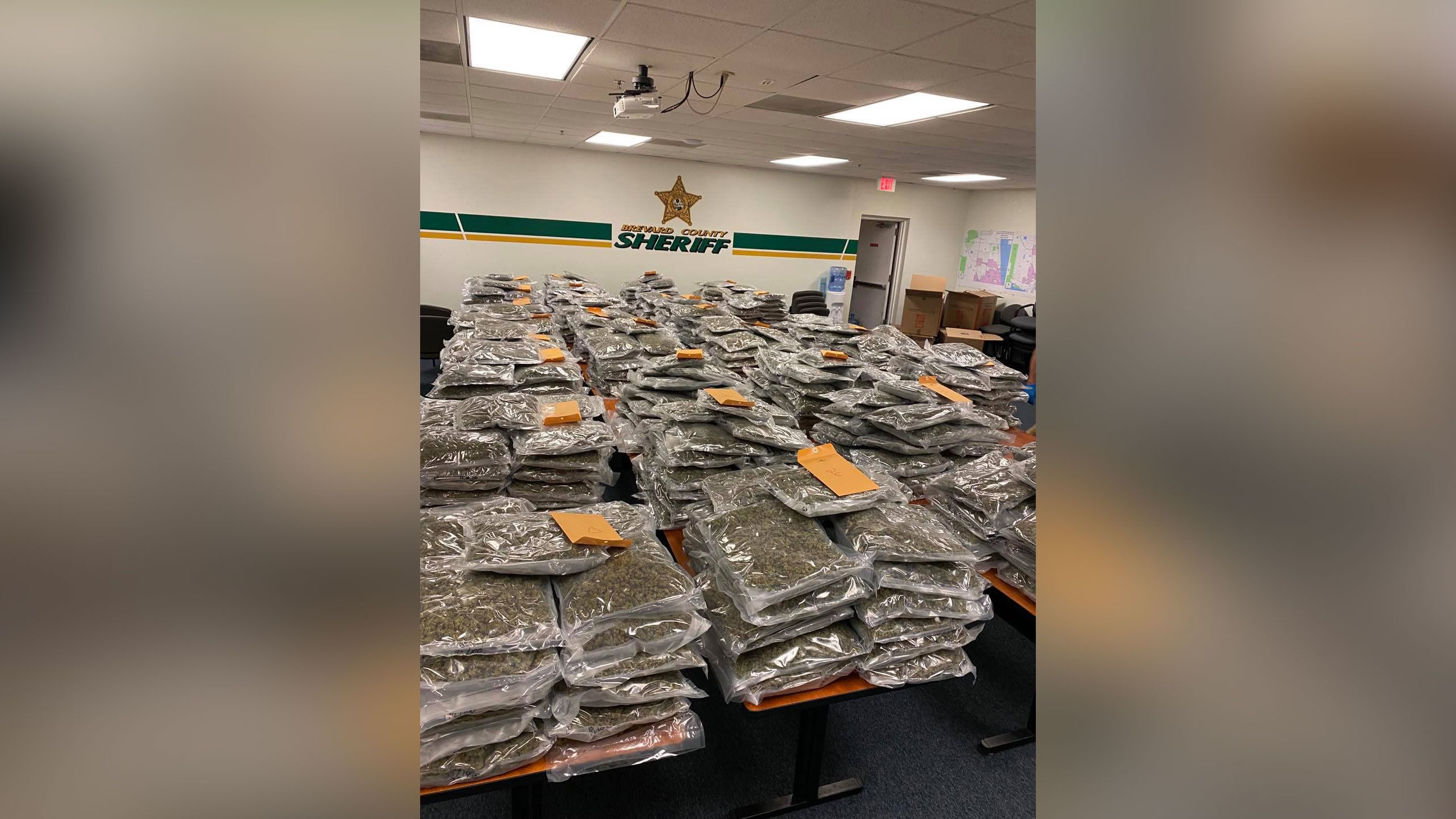 About 770 pounds of "high grade marijuana" was found in a mini-storage facility in Viera, Florida. The Brevard County Sheriff's Office is now looking for the "rightful owner." 