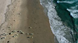 In an aerial view, cleanup workers search for contaminated sand and seaweed about one week after an oil spill from an offshore oil platform on October 9, 2021 in Huntington Beach, California. The heavy crude oil spill affected close to 25 miles of coastline in Orange County. Huntington Beach is open but the public is not allowed to enter the water.