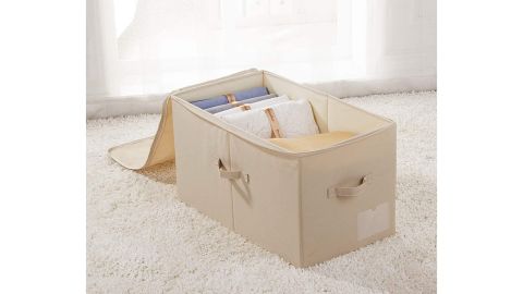 iwill Create Pro Large Closet Storage Box with Lid