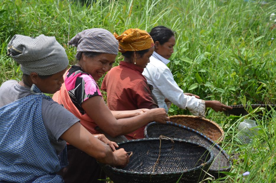The Khasi reside in the wettest region of India, the hilly northeastern state of Meghalaya, an area of remarkable biodiversity. Their food system relies mostly on shifting cultivation, home gardening, livestock and beekeeping. But, according to the report by the UN's Food and Agriculture Organization (FAO), the Khasi are becoming increasingly reliant on the global market, and traditional food customs and biodiversity are under threat, with staples such as millet being supplanted by crops like rice.