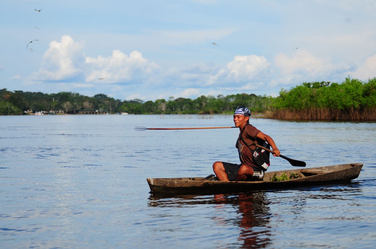 The Tikuna, Cocama and Yagua are three fishing communities living largely in the Colombian part of the Amazon Basin. According to the FAO report, 68 of the 153 species they use for food are fish, but when the forest lands are dry, they rely on cultivation, hunting and foraging. Today, the communities source a quarter of their food supply from global markets and the report notes that the standardization of local schooling -- taught in Spanish rather than indigenous languages -- threatens the survival of traditional customs. 