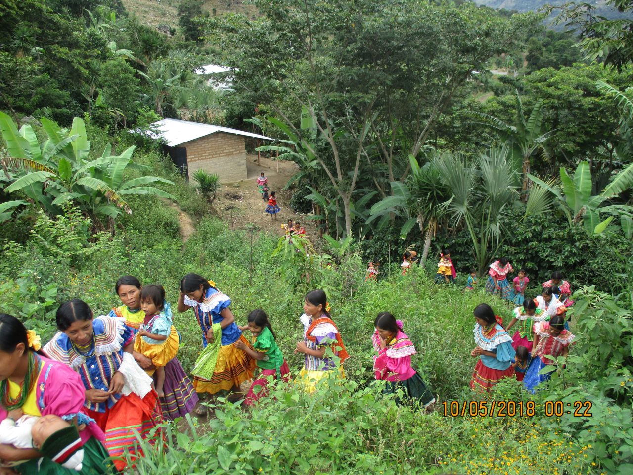 The Maya Ch'orti' people are spread across six villages in Chiquimula, the Mesoamerican dry corridor of Guatemala. Their diet is based on a mix of agriculture, agroforestry and home gardens. However, according to the FAO, climatic uncertainty and political conflict in the region has heavily reduced land access, degraded natural resources and damaged the self-sufficiency of the Maya Ch'orti'. Insects, which were once a regular source of protein for the community, are now rarely eaten, and wild foraging has reduced, leading to a less diverse diet. 