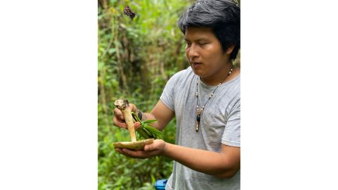 Fabian Jimbijti (pictured), from  Angel Rouby in the Morona Santiago province of Ecuador, forages food from the jungle.