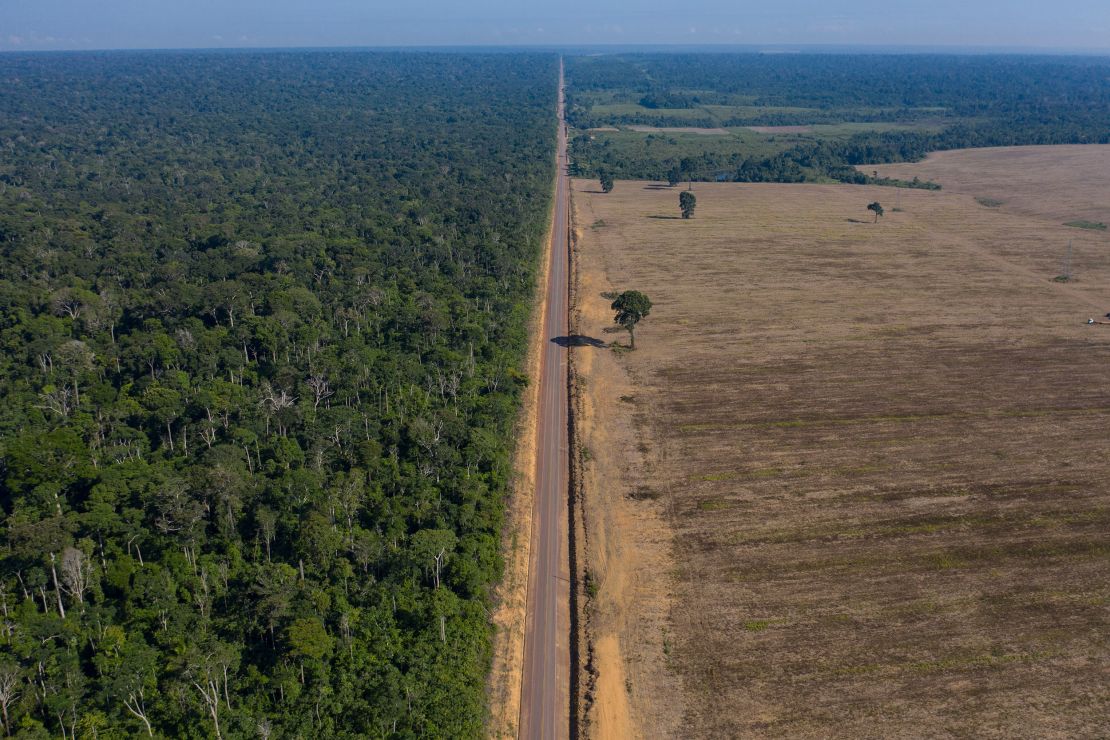 The Tapajos National Forest is separated from a soy field by a highway in this file photo from November 2019.