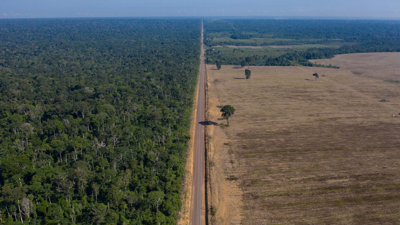 The Tapajos National Forest is separated from a soy field by a highway in this file photo from November 2019.
