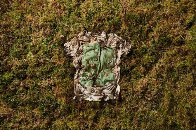Other fashion brands have also realized the power of algae. Men's apparel company <a href="index.php?page=&url=https%3A%2F%2Fwww.vollebak.com%2Fproduct%2Fplant-and-algae-t-shirt%2F" target="_blank" target="_blank">Vollebak</a> created a biodegradable t-shirt that is compostable at the end of its life, made from eucalyptus and beech pulp, and algae.