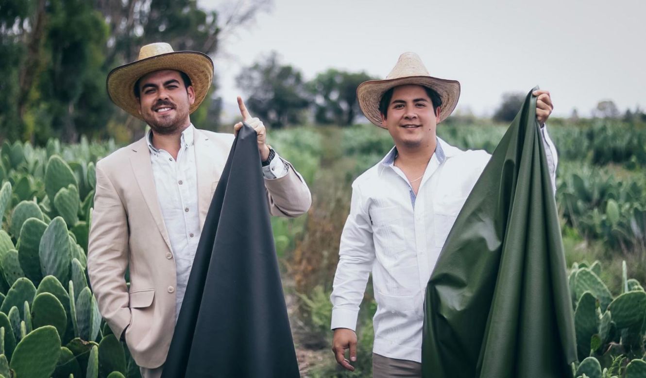 Founded in 2019, Mexican startup <a href="https://desserto.com.mx/home" target="_blank" target="_blank">Desserto</a> came up with a creative, vegan alternative to leather using cacti. Designed for handbags, footwear, apparel and even furnishings, it was included in H&M's debut <a href="https://about.hm.com/news/general-news-2021/h-m-launches-new-sustainability-concept-with-the-debut-collectio.html" target="_blank" target="_blank">Science Story collection</a> in March 2021. The company also creates exclusive materials for cars, via its sister brand <a href="https://deserttex.com/" target="_blank" target="_blank">Dessertex</a>.