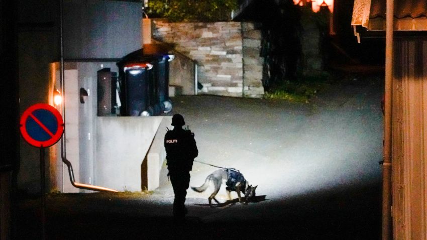 A Police officer uses a sniffer dog at the scene where they are investigating in Kongsberg, Norway after a man armed with bow killed several people before he was arrested by police on October 13, 2021. - A man armed with a bow and arrows killed several people and wounded others in the southeastern town of Kongsberg in Norway on October 13, 2021, police said, adding they had arrested the suspect.
"We can unfortunately confirm that there are several injured and also unfortunately several killed in this episode," local police official Oyvind Aas told a news conference. "The man who committed this act has been arrested by the police and, according to our information, there is only one person involved." - Norway OUT / ALTERNATIVE CROP (Photo by Håkon Mosvold Larsen / NTB / AFP) / Norway OUT / ALTERNATIVE CROP (Photo by HAKON MOSVOLD LARSEN/NTB/AFP via Getty Images)