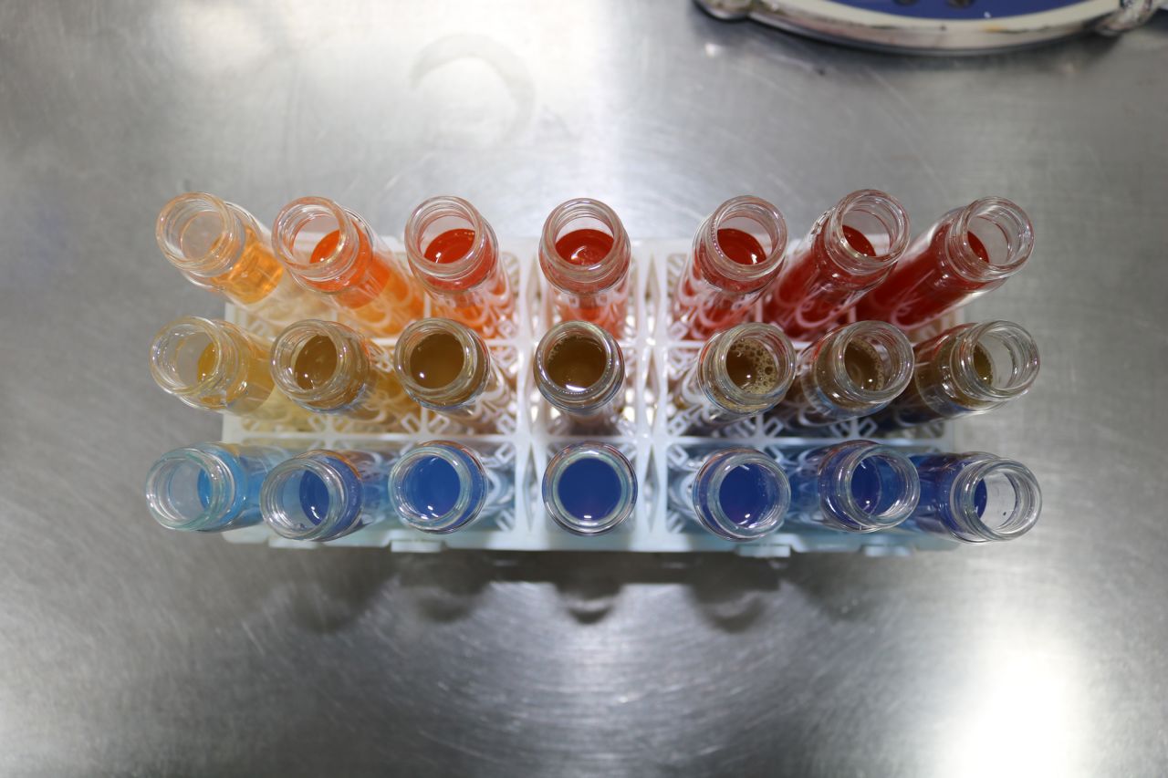 Algaeing has developed a patented algae-based formula at its lab in Israel.