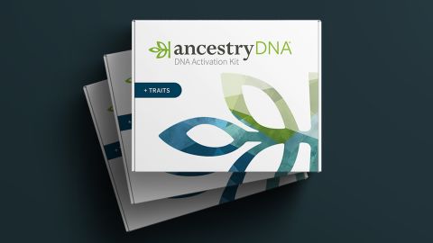 ancestrydna kits sale