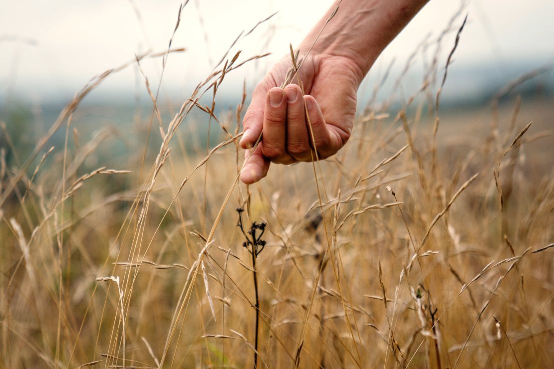 Ben Sweeney walks through one of the carbon-storing grasslands Plantlife has been working to restore.