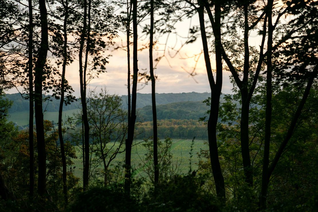 Plantlife is campaigning for grasslands to be recognized in the COP26 communique and protected on an international level.