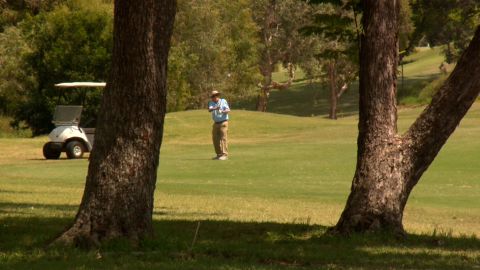 Brown plays a shot.