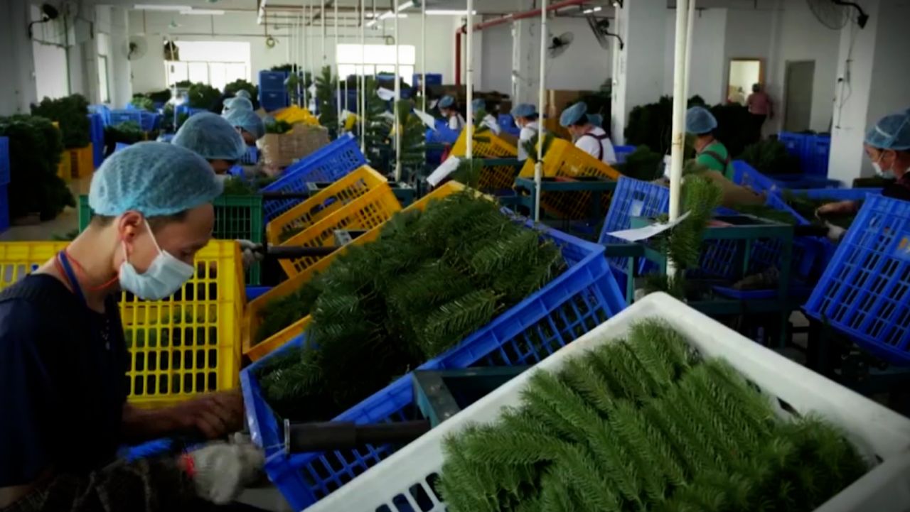 christmas tree shortage supply chain