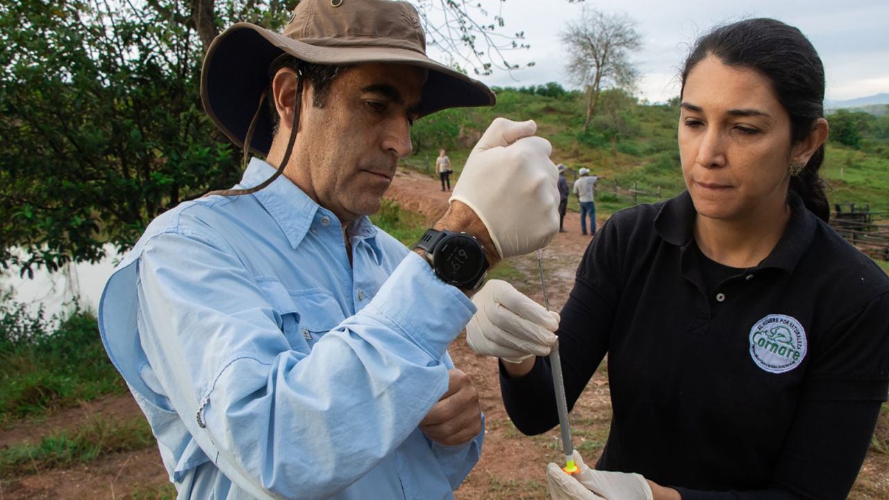 Cornare and USDA specialists involved in the hippo pilot project.
