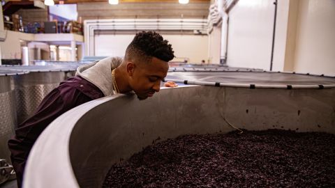 McCollum tours the Adelsheim Vineyard where his Pinot noir variety is produced. He hopes to create more opportunities for minorities and women to learn, and operate, in the winemaking industry.