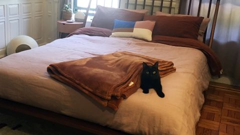 Threshold Microplush Bed Blanket in Caramel