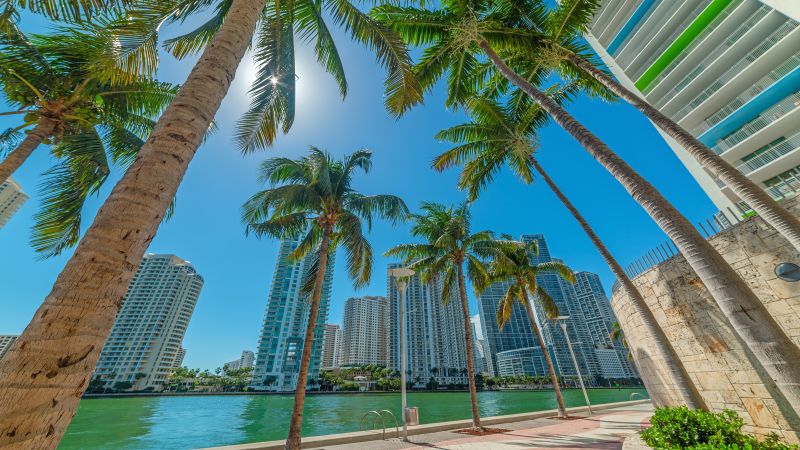 Cheap flights from NYC to Miami for just 45 round trip CNN