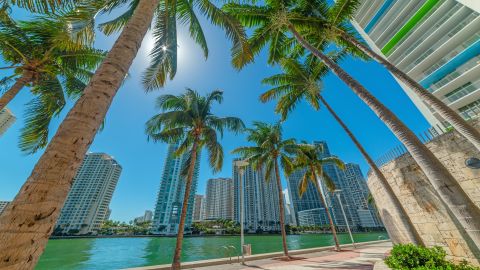 Plan a getaway to sunny Florida this winter