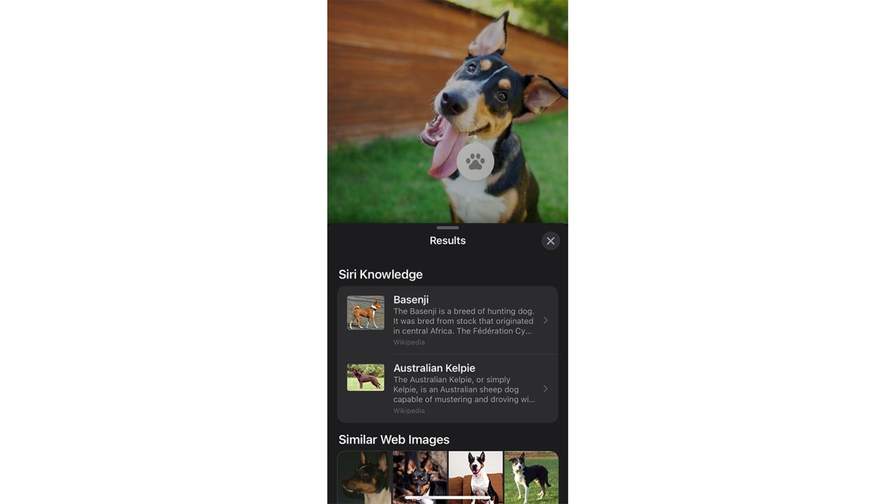 iphone-features-tips-hacks-20 visual