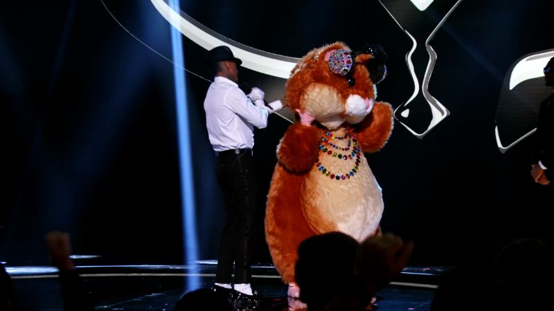 hampster masked singer