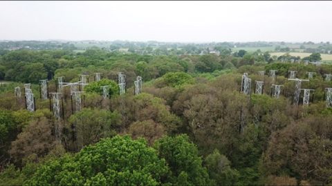University of Birmingham research arrays in a forest of trees.