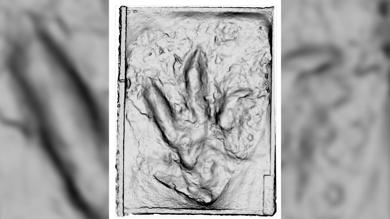 Researchers looked at 3D images of the fossil footprint to determine what type of dinosaur made those tracks.