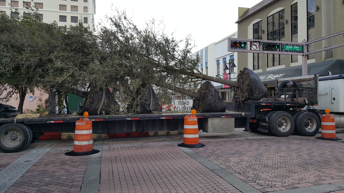 West Palm Beach is planting trees as part of their Tree Canopy Improvement program.