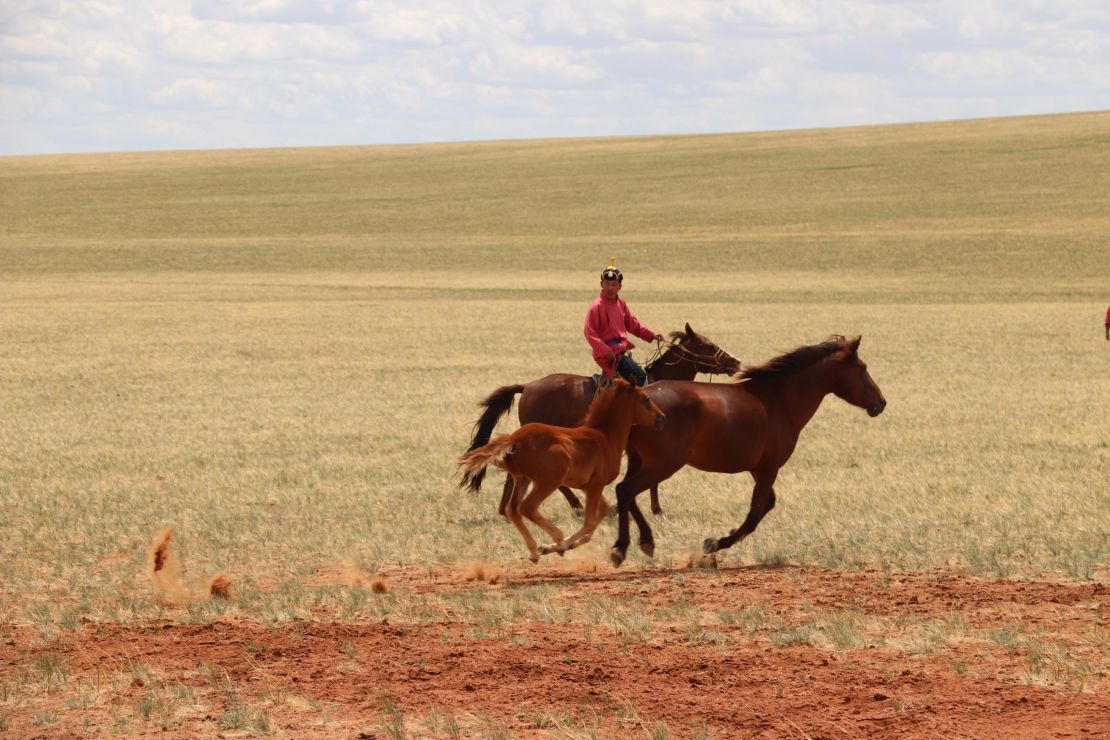 Horses are shown running in the steppes of Inner Mongolia, China, in 2019.