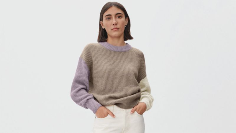 oversized alpaca crew everlane