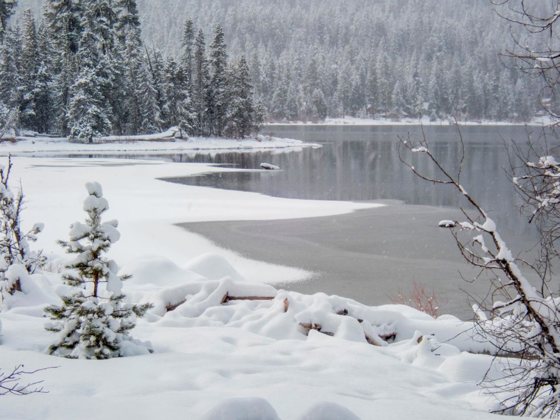 Snow fell in Lake Wenatchee State Park, creating this picturesque scene in eastern Washington State in February.
