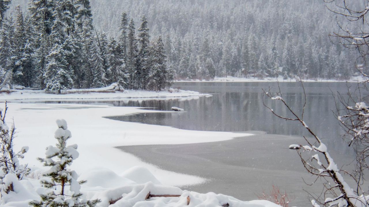 Snow fell in Lake Wenatchee State Park, creating this picturesque scene in eastern Washington State in February.