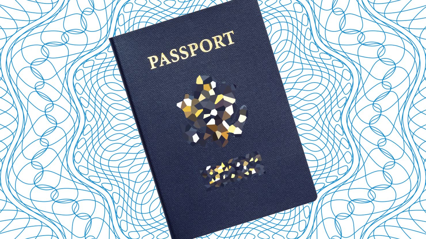 22102021-camouflage-passports_photo illustration-02