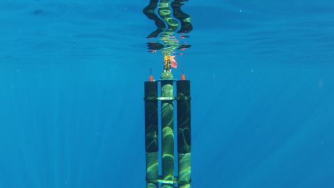 Seatrec's float uses differences in ocean temperature to power itself.