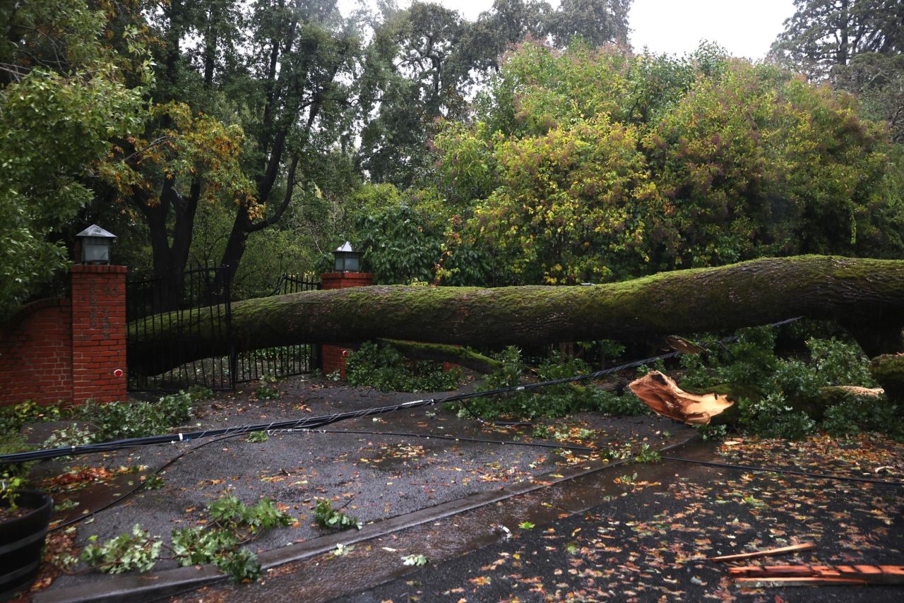 A tree lies across a fence in Ross, California, after falling during a storm on Sunday.