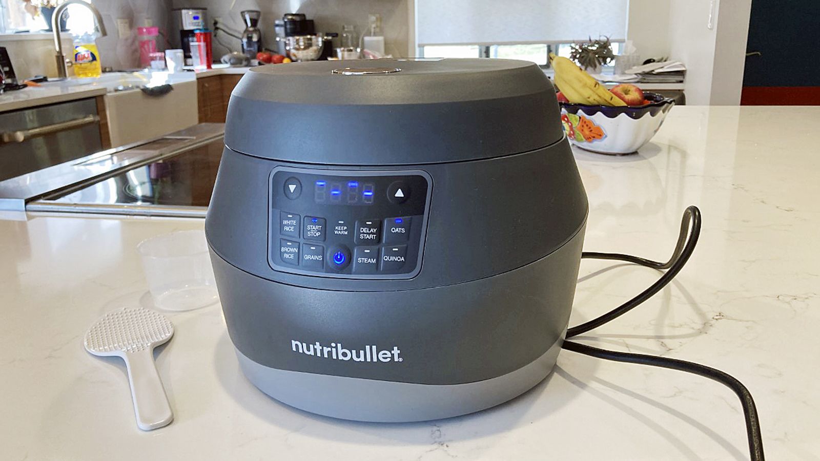 Nutribullet EveryGrain 10 Cup Pre-Programmed Rice Cooker - Non