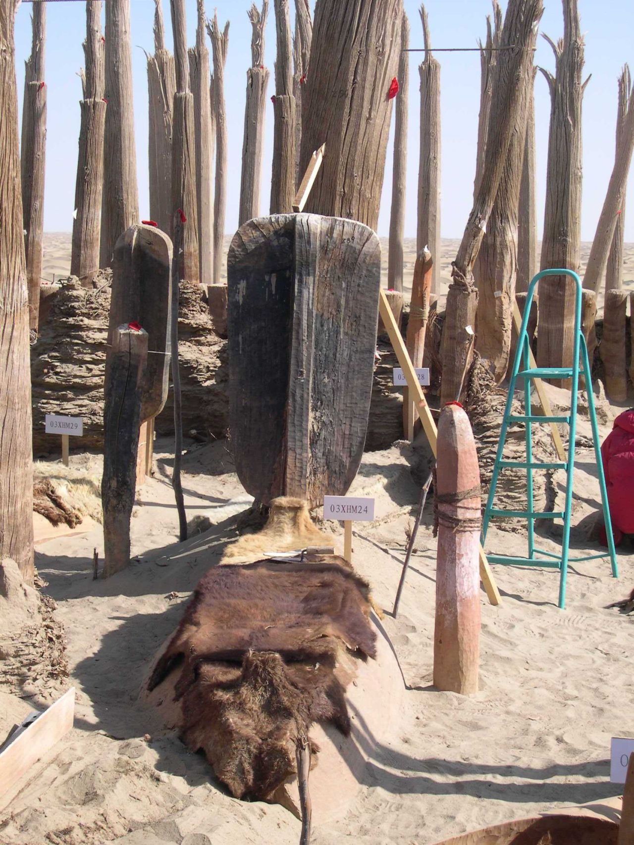 Another aspect of this enigmatic group is that they were buried in boats with oars. The coffin is covered with a cattle hide.