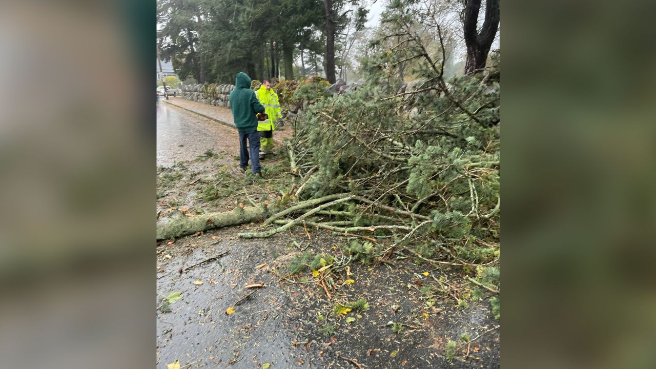 Trees were down Wednesday morning in Malden, Massachusetts, north of Boston.