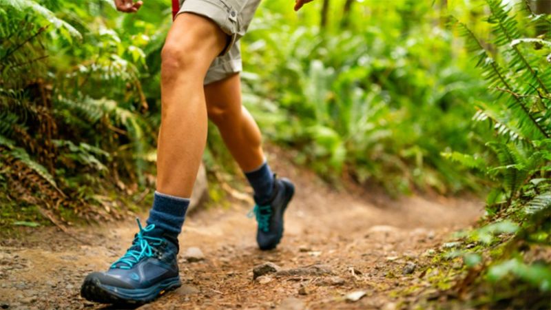 best jungle hiking shoes