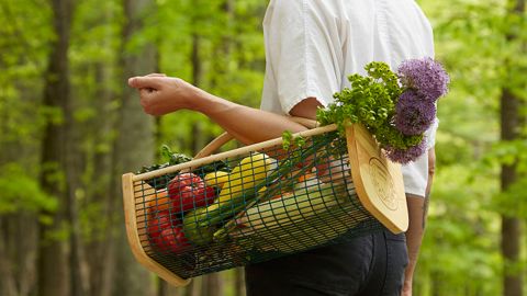 Panier de récolte du jardinier