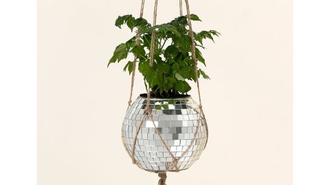 Janelle Schenk Disco Ball Hanging Planter