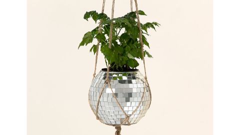 Janelle Schenk Disco Ball Hanging Planter 