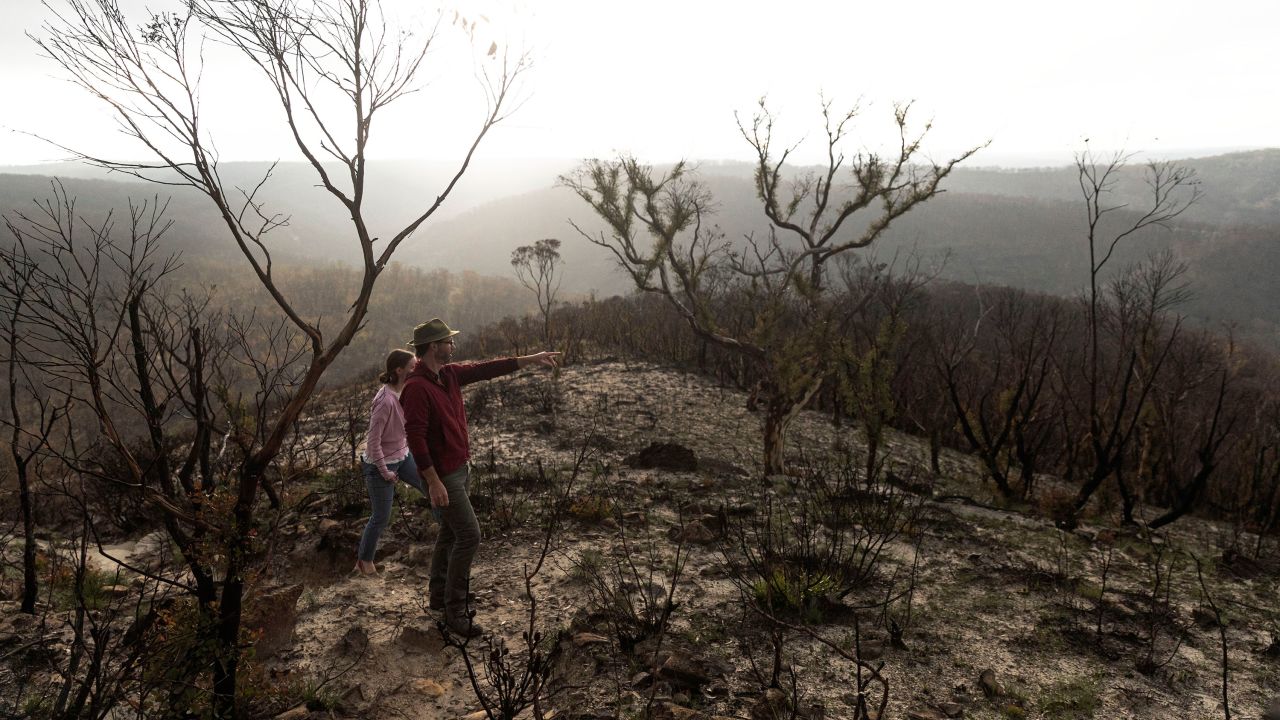 Two people walk through a fire-ravaged area in the the Greater Blue Mountains World Heritage Area near the town of Blackheath, Australia, on February 21, 2020.