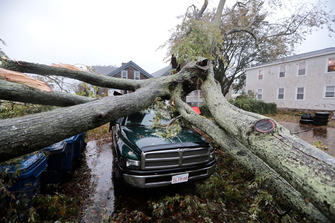 A large tree fell Wednesday onto a pickup in Fairhaven, Massachusetts.