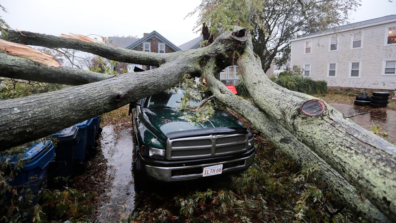 A large tree fell Wednesday onto a pickup in Fairhaven, Massachusetts.